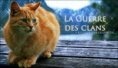 /album/photos/guerre-des-clans-png1/